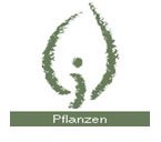 pflanzen